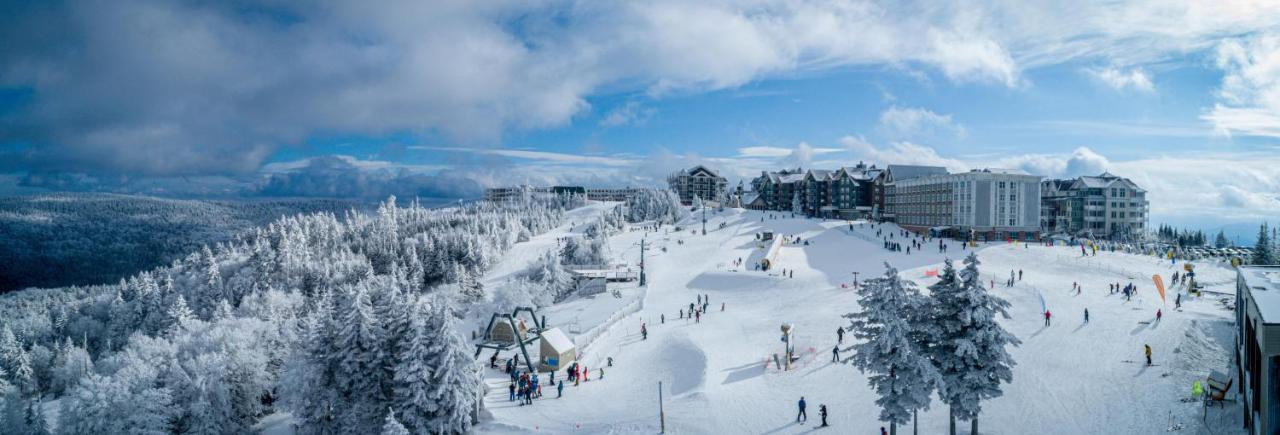 Stroll To Slopes, Village Area, Ski In-Out Mtlodge 304 Snowshoe Exterior photo